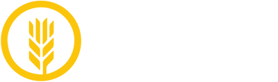 peachpuff-bear-309392.hostingersite.com
